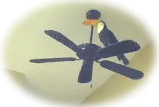 gifs_01