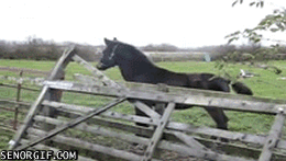 gifs_04