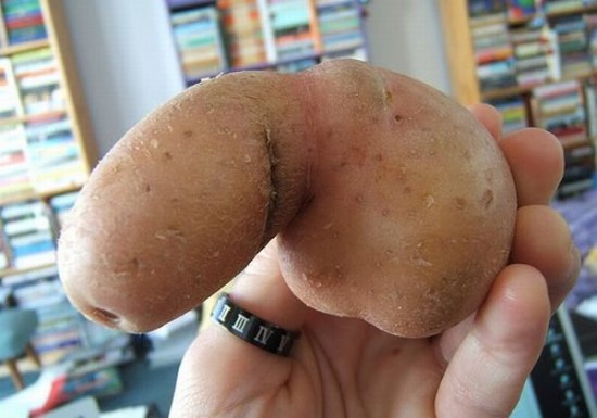 accidental_penis_05