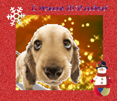 oie_oie_twinkles (1)