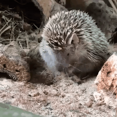 4bca6966-d3f5-4649-809f-f77b96178d73