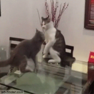 394cd010f142999568418e0bef5be368