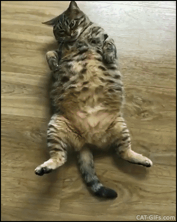 c4e09d69d02712789b3b1590acfe0665