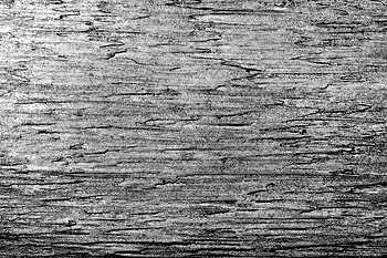 ramdisk-crop_173886388_y24V7