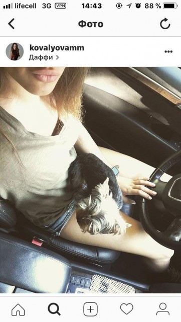 photo_2017-10-20_15-33-21