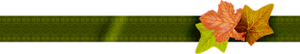 0_97647_d34d791a_M