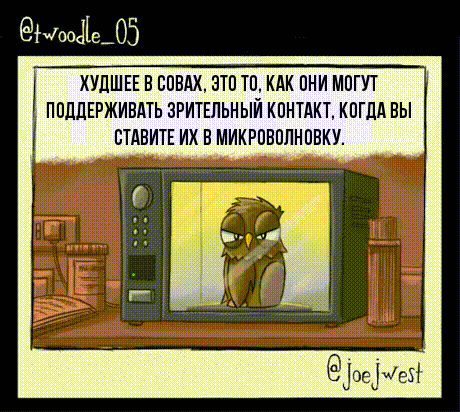 -Комиксы-совы-живность-4117063