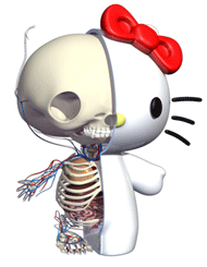 hello-kitty-anatomy-spin