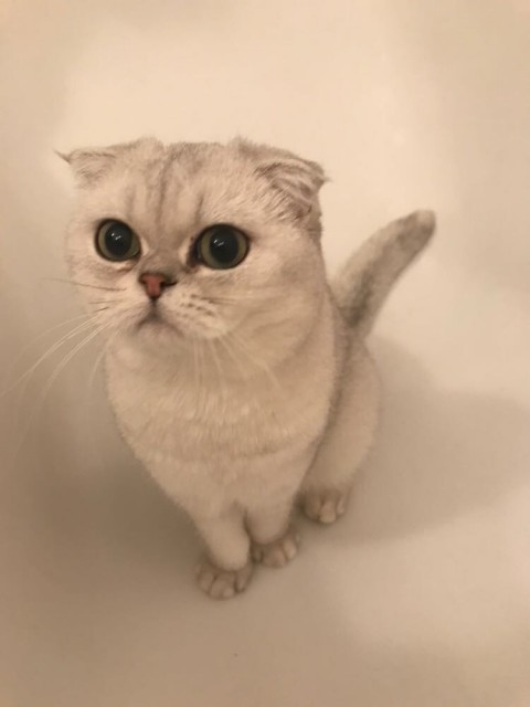 83D68BAA-38BF-4648-AA1A-894959972651