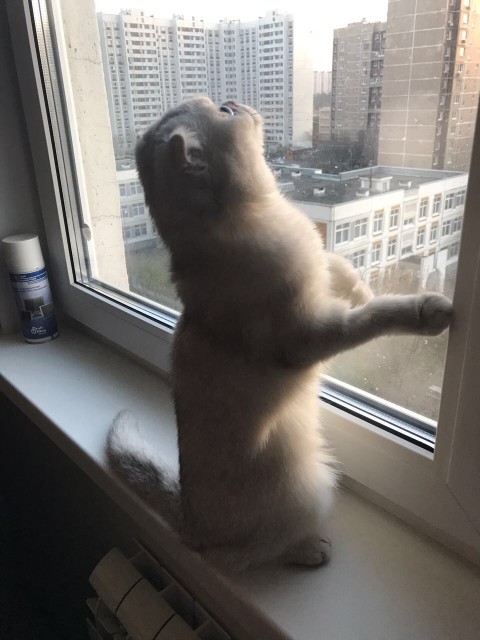 C8C5C12C-708C-4983-98AF-033BAF29E05B