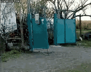 читаешь новую тему от Пингвина