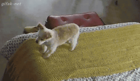 - Ублюдок, мать твою!