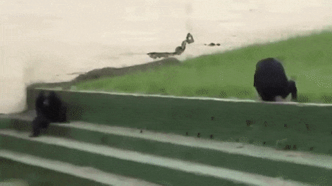 Когда познал тленность бытия