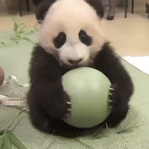 Когда подарили то, о чём мечтал.