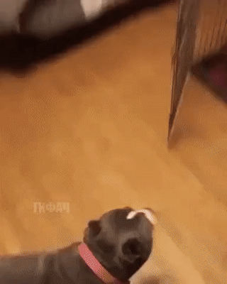 ezgif.com-video-to-gif (20)