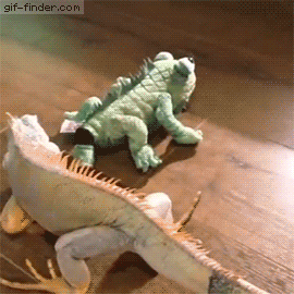 a3581fd7a27d26c07900113d069e604a