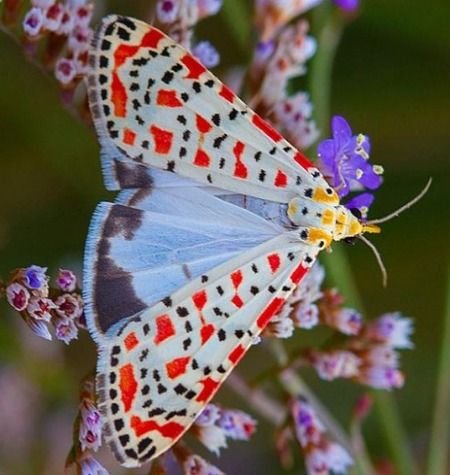 84fc6bb6af9054d527b75015539173b4