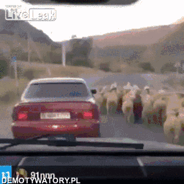 На шашлычок