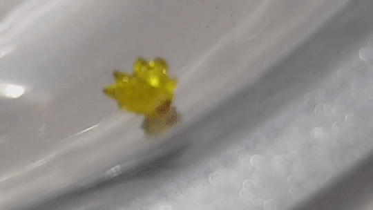 ezgif.com-video-to-gif (23)