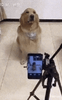 у фотографа_3