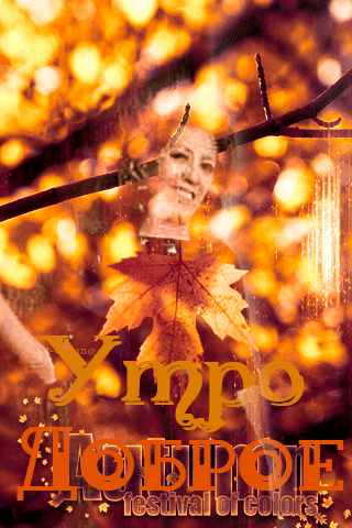 0_14678d_99b0bba2_orig