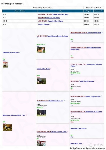 родословная