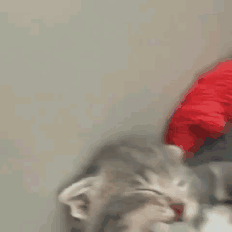 kogda_do_zarplaty_esche_polmesyatsa