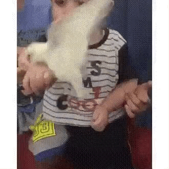 2017-06-20-GIF-00000025