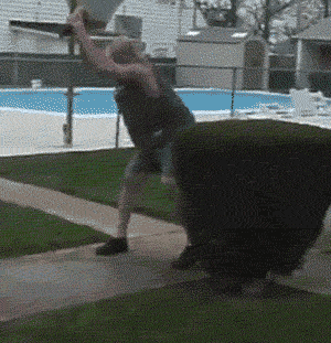 Бешеная кола