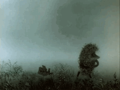 f_20337921