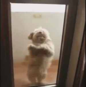 Чудное настроение