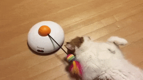 Олимпийское спокойствие