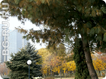 Ноябрь в Болгарии