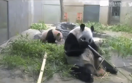 Спохватилась