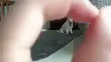 Точное попадание