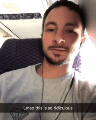 animals-on-a-plane-2-59f0322f1e725__605