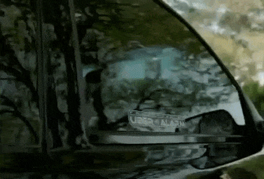 doc258748225_452026395