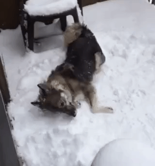 Снег снежок