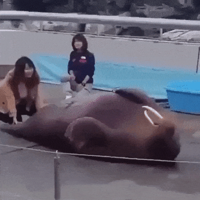 Качаем пресс