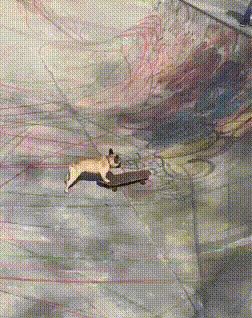 223