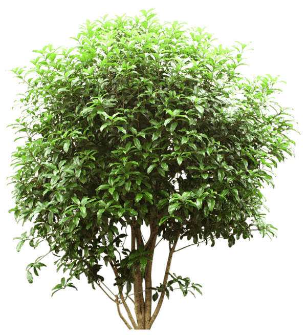 0_2b7412_e8d2b5a9_orig_yapfiles (1)