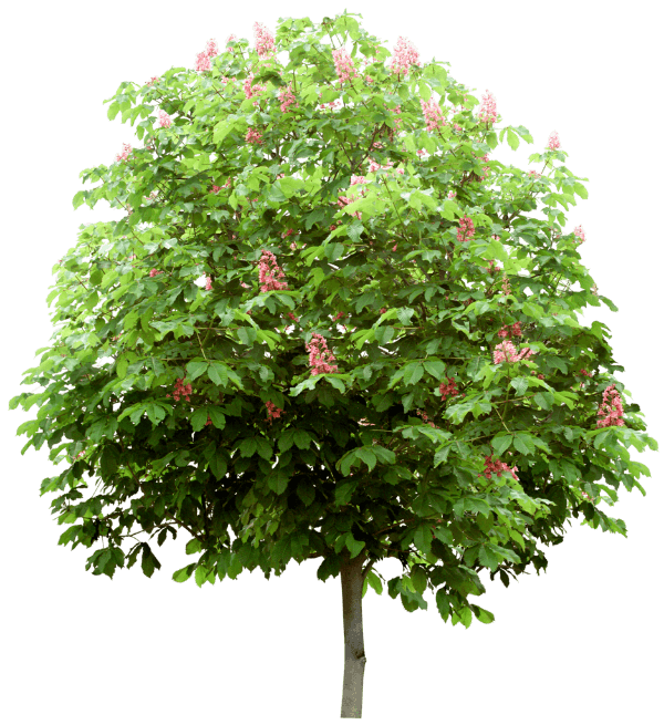 0_12d3ec_ab8fc68a_orig_yapfiles (1)