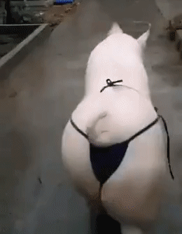 Как пошла, а?