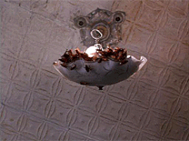 букашечки таракашечки