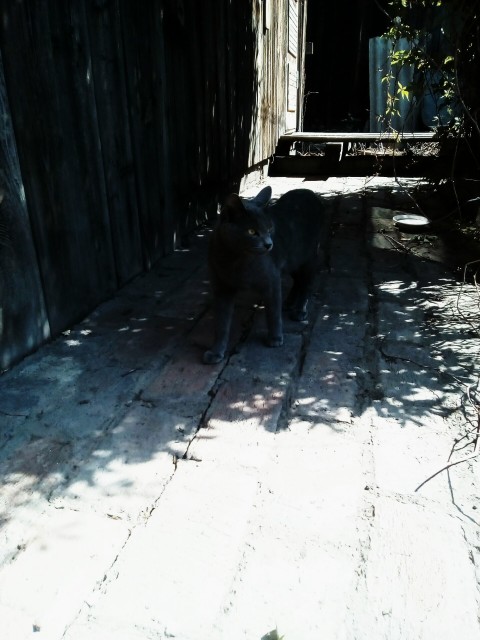 IMG_20171130_215711_088