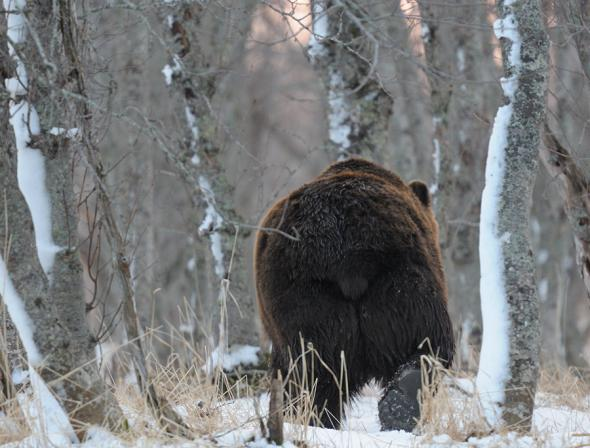 1aaadb447d197cd96f0804b9115_prev