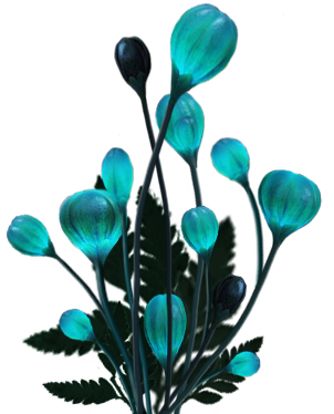 11463156[1]