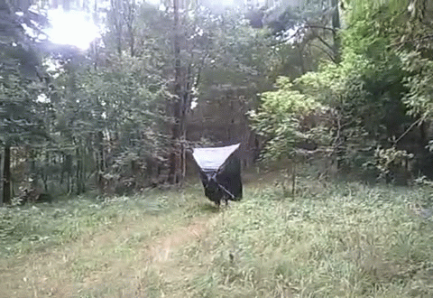 buildgif.com-1019584