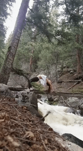 GIF1