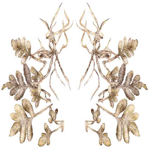 d29ad6d0-7d57-3fa3-e2ef-7148778f2264 (1)